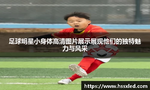 BB贝博艾弗森官网